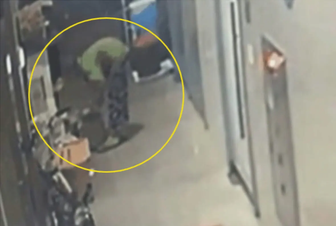 CCTV로 확인된 계란 도난 사건, 노년 여성 포착