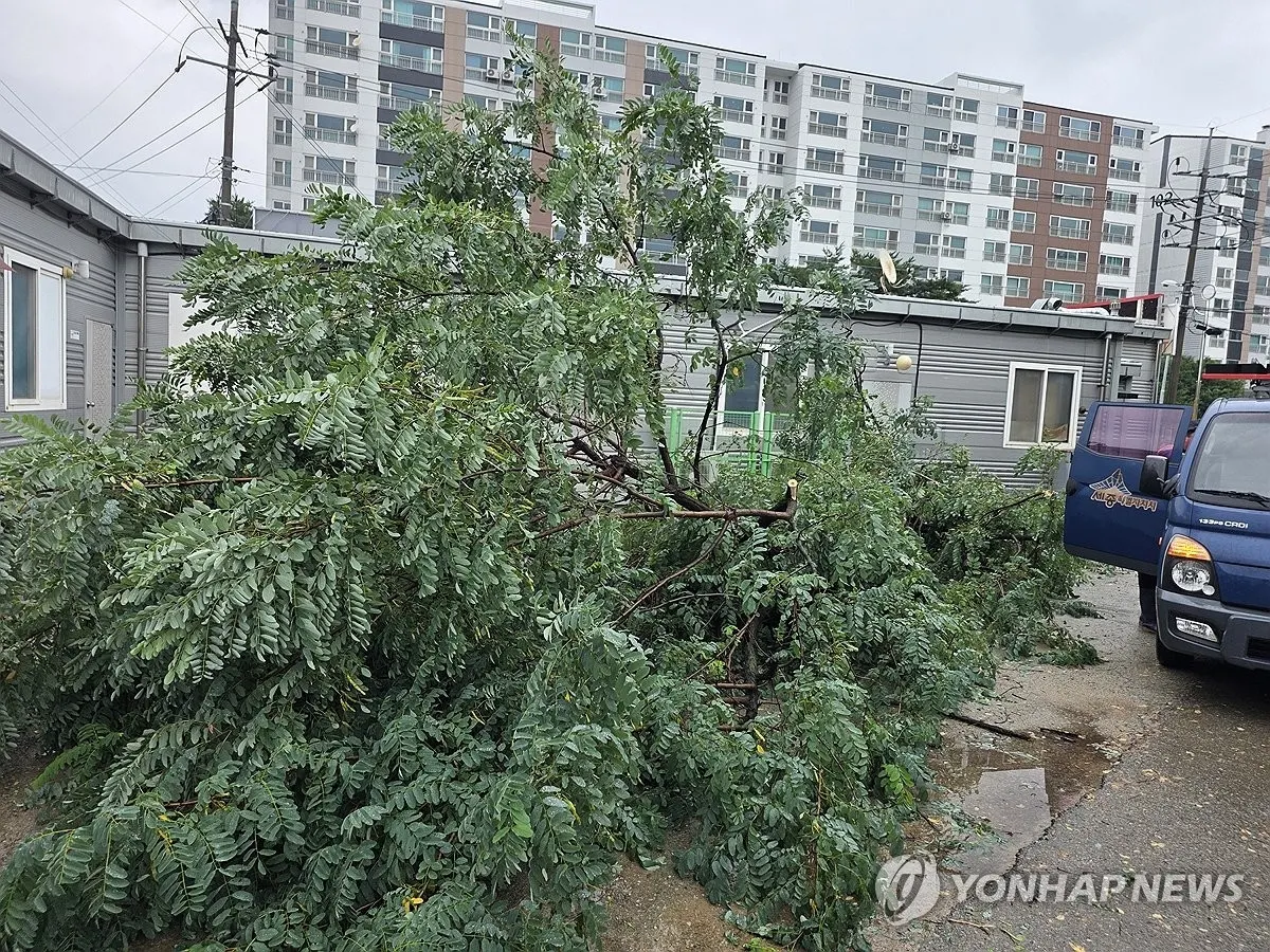 중부지방, 호우로 주택 침수 및 고립 피해 발생